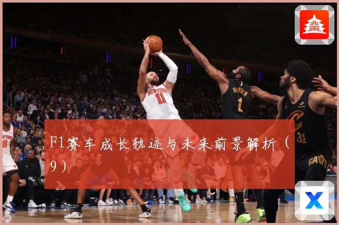 F1赛车成长轨迹与未来前景解析（9）