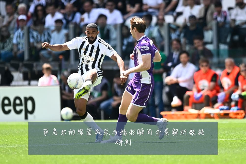 萨乌尔的绿茵风采与精彩瞬间全景解析数据研判