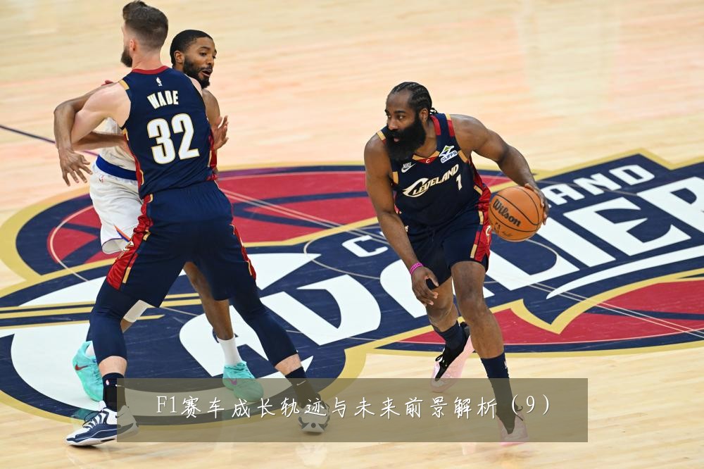 F1赛车成长轨迹与未来前景解析（9）