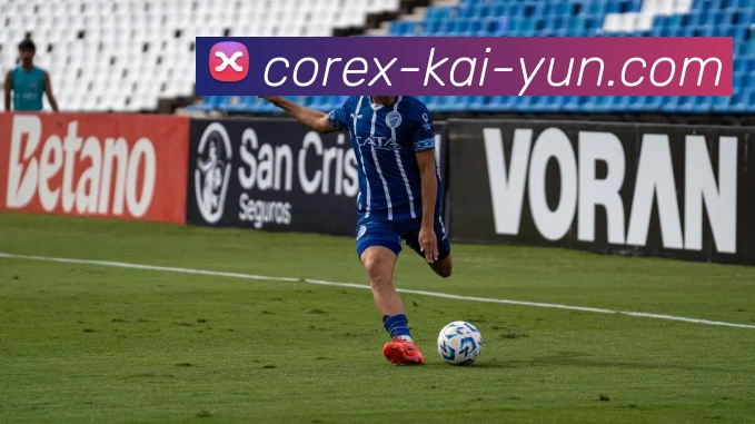 开云平台展示图