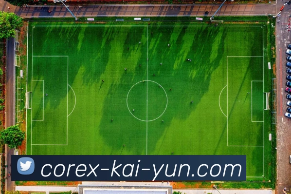 开云在线登录全方位指南轻松解决登录问题并享受便捷服务