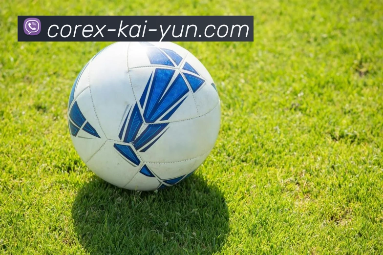 开云官网全站App